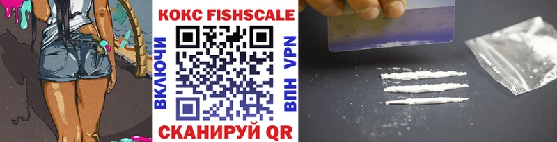 МЕГА tor  наркота  Колпашево  Cocaine Fish Scale 