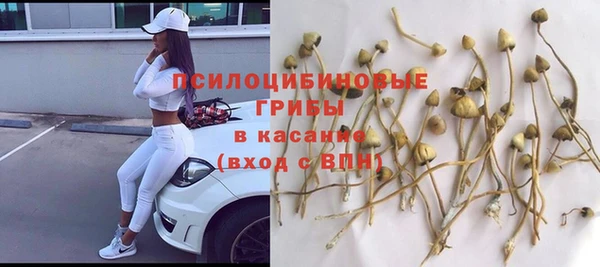 2c-b Аркадак