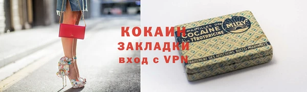 ГАЛЛЮЦИНОГЕННЫЕ ГРИБЫ Арсеньев