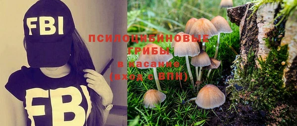 ALPHA PVP Баксан