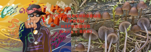 бошки Балахна